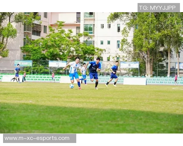比利温劳夫足球的魅力与战术解析探索足球文化的深厚底蕴与未来发展